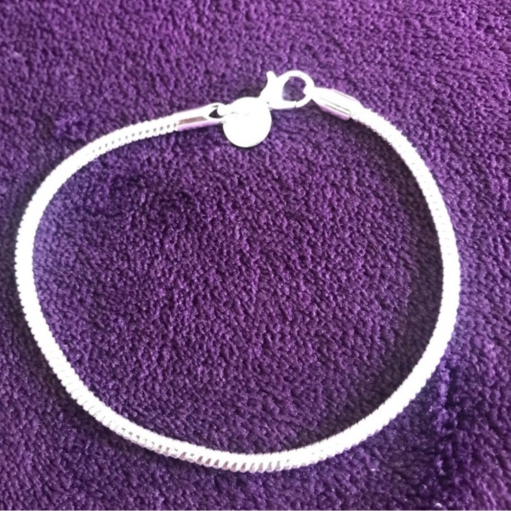 Sterling Silver Snake Chain Bracelet
